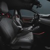 アウディ RS Q3 スポーツバック の「エディション 10 years」