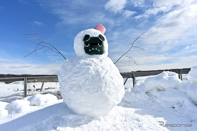 雪だるまに埋まったデリ丸。